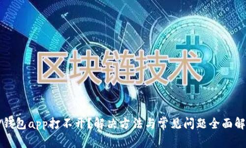 TP钱包app打不开？解决方法与常见问题全面解析