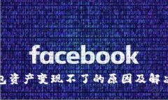 TP钱包资产变现不了的原因及解决方案