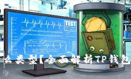 TP钱包的链是什么类型？全面解析TP钱包及其区块链技术