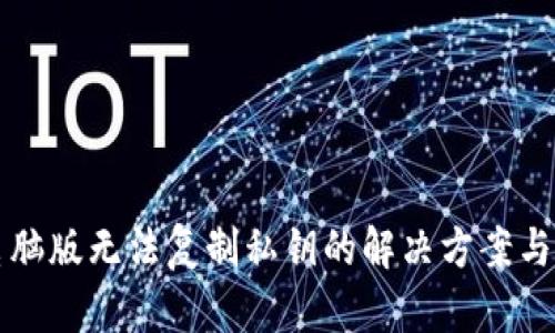 TP钱包电脑版无法复制私钥的解决方案与安全指南