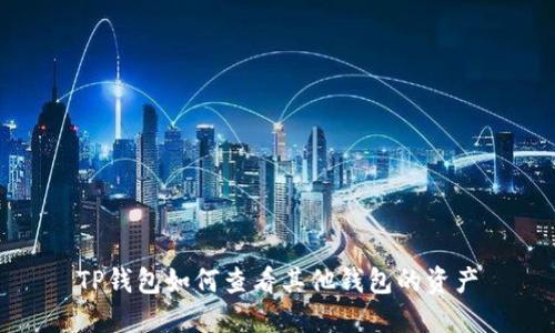 TP钱包如何查看其他钱包的资产