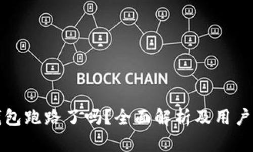 TP钱包跑路了吗？全面解析及用户指南