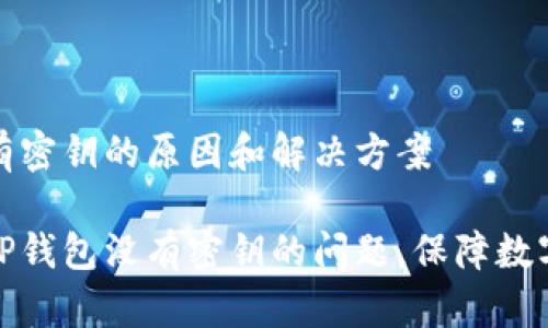 TP钱包没有密钥的原因和解决方案

如何处理TP钱包没有密钥的问题，保障数字资产安全