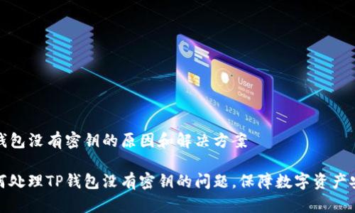 TP钱包没有密钥的原因和解决方案

如何处理TP钱包没有密钥的问题，保障数字资产安全