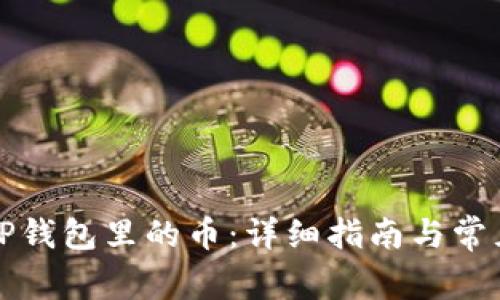 如何查看TP钱包里的币：详细指南与常见问题解答