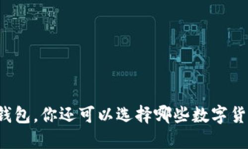 除了TP钱包，你还可以选择哪些数字货币钱包？