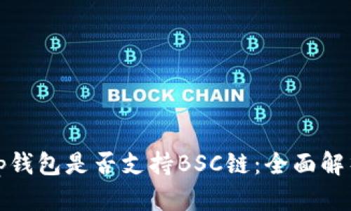 tp钱包是否支持BSC链：全面解析