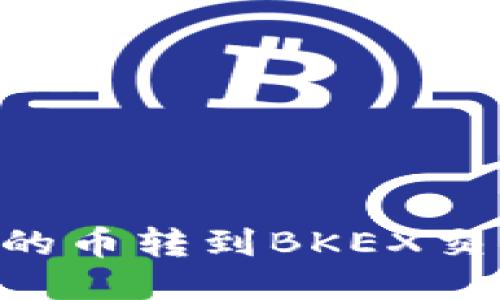 如何将TP钱包的币转到BKEX交易所：详细指南