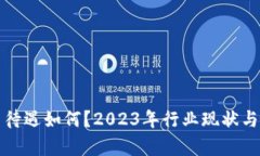 加密货币待遇如何？2023年行业现状与前景解析