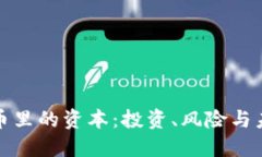 加密货币里的资本：投资、风险与未来发展