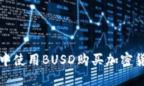 在TP钱包中使用BUSD购买加密货币的方法