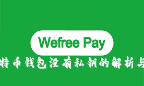 TP钱包比特币钱包没有私钥的解析与使用指南