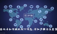 抹茶的币如何提现到TP钱包:详细步骤与注意事项
