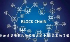 揭秘加密货币钱包的控制与安全性：你真的了解