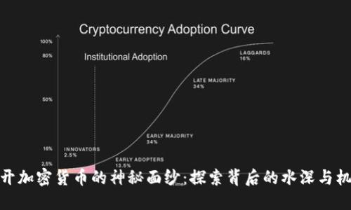 揭开加密货币的神秘面纱：探索背后的水深与机遇