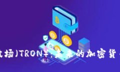 深入探讨波场（TRON）：未来的加密货币革命之路
