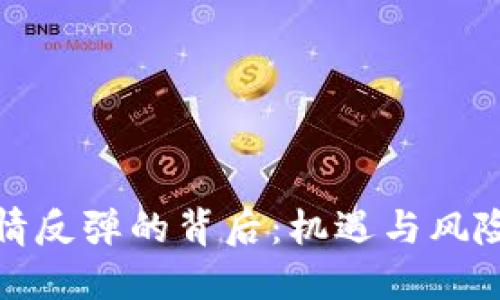 加密货币行情反弹的背后：机遇与风险的双重挑战