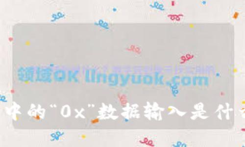 TP钱包中的“0x”数据输入是什么意思？