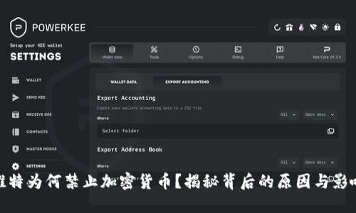 推特为何禁止加密货币？揭秘背后的原因与影响