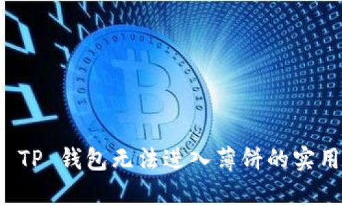 解决 TP 钱包无法进入薄饼的实用技巧