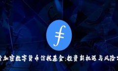 探索加密数字货币信托基金：投资新机遇与风险