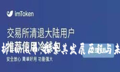 全面解析Luna币：探索其发展历程与未来潜力