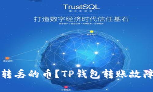 如何找回转丢的币？TP钱包转账故障处理指南