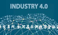 喀麦隆加密货币交易所：如何在非洲数字金融浪