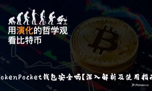 TokenPocket钱包安全吗？深入解析及使用指南
