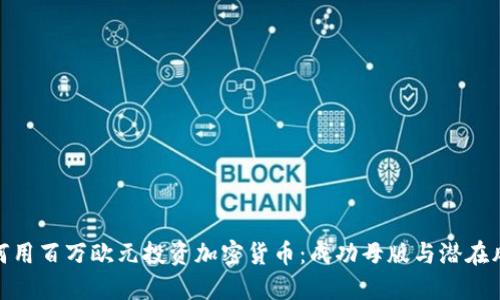 如何用百万欧元投资加密货币：成功母版与潜在风险