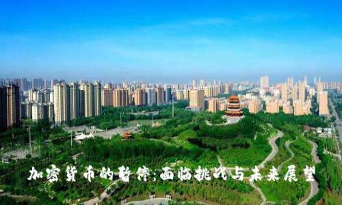 加密货币的暂停：面临挑战与未来展望