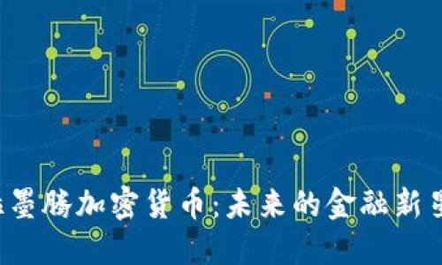 深入探讨尼古拉墨腾加密货币：未来的金融新星还是昙花一现？