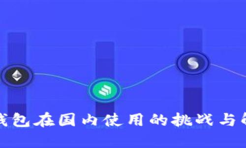 探索TP钱包在国内使用的挑战与解决方案