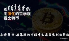 掌握加密货币：在暴躁的市场中生存与盈利的终