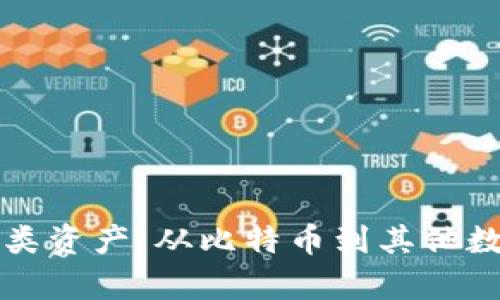 深入探讨加密货币类资产：从比特币到其他数字货币的全景解析