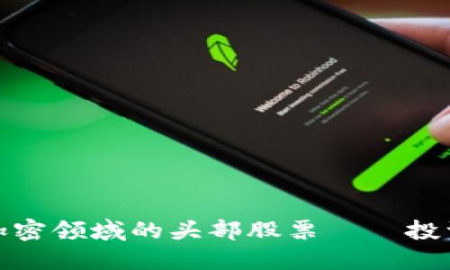 揭秘数字货币加密领域的头部股票——投资者必看的机会