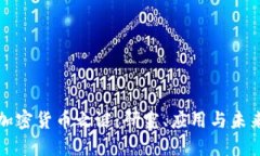 揭开加密货币之谜：研究、应用与未来挑战