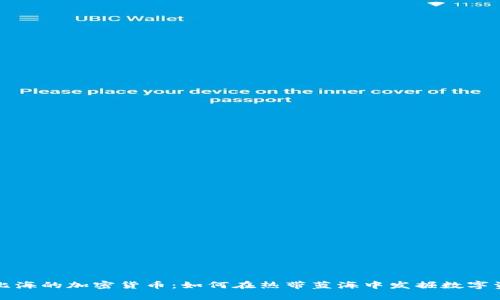探索加勒比海的加密货币：如何在热带蓝海中发掘数字资产的潜力