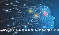 揭开亚元加密数学货币的神秘面纱：如何在数字