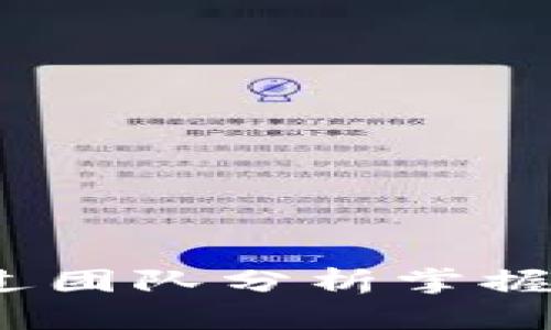 深入剖析：如何通过团队分析掌握加密货币市场动态