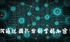 深入剖析：如何通过团队分析掌握加密货币市场