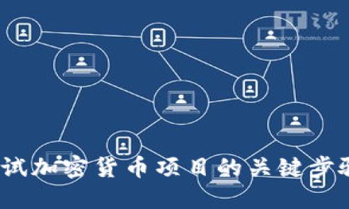 深入探讨：测试加密货币项目的关键步骤与最佳实践