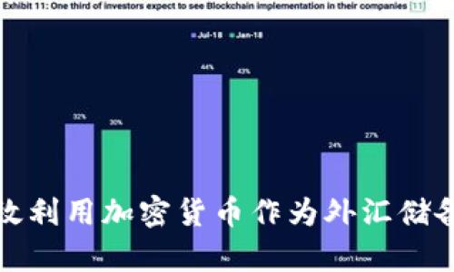 如何有效利用加密货币作为外汇储备的策略