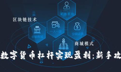 如何利用加密数字货币杠杆实现盈利：新手攻略与风险提示