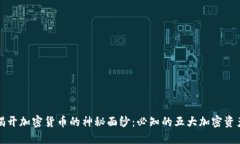 揭开加密货币的神秘面纱：必知的五大加密资产