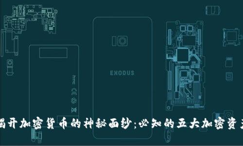 揭开加密货币的神秘面纱：必知的五大加密资产