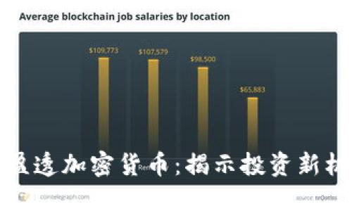 深入探讨盈透加密货币：揭示投资新机遇与风险