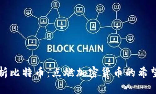 深入剖析比特币：点燃加密货币的希望与挑战