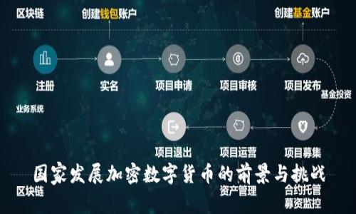 国家发展加密数字货币的前景与挑战