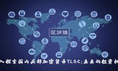 深入探索国内头部加密货币TLBC：未来的投资机会